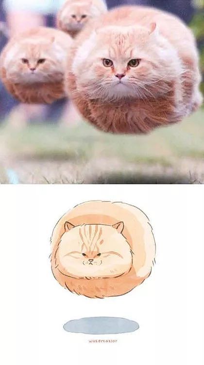 这位画师把网上的沙雕猫猫图，画成了插画，这画风也太可爱了！ - 1