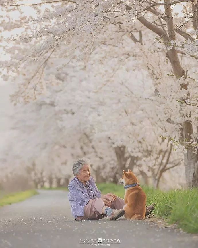 暖心！日本摄影师镜头下的奶奶和柴犬，这组照片治愈了无数网友…… - 1