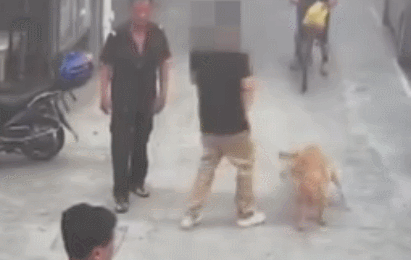 警方跨省抓狗？是的，这件事在上海发生了! - 11