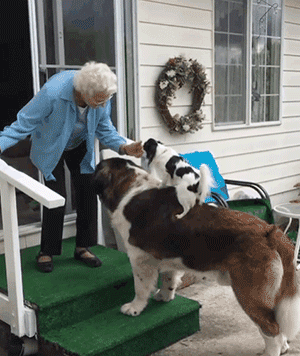 90多岁老奶奶不愿搬去儿子家，竟是因为领居家的狗太可爱了？！ - 2