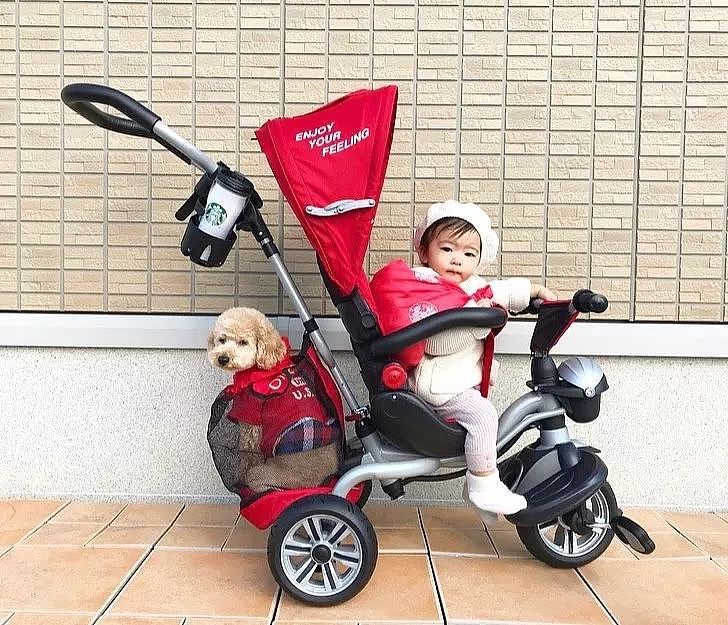 日本妈妈每天给狗狗和孩子拍照，这画风…也太可爱了吧！ - 20