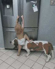宝宝和狗子合伙开冰箱偷吃，结果惨遭背叛！ - 2