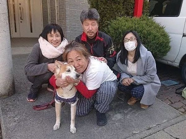 从地震中救出1400只狗狗的她，8年后重遇被救柴犬... - 8