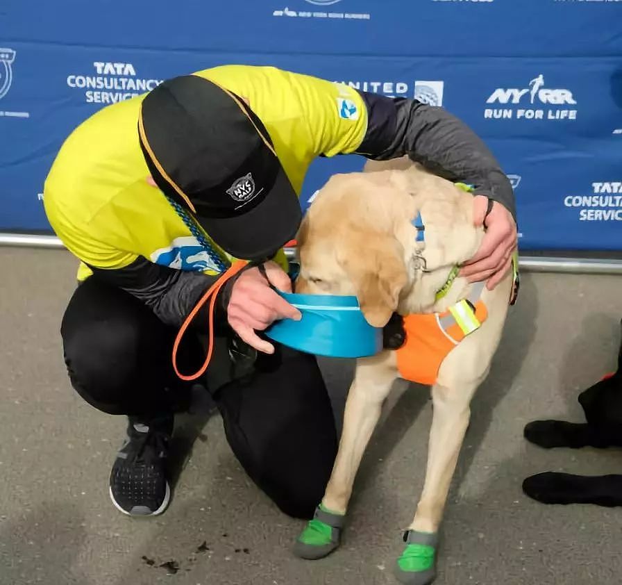 三只导盲犬轮流协助引导盲人小哥跑完21公里马拉松比赛！ - 3