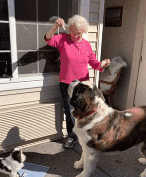 90多岁老奶奶不愿搬去儿子家，竟是因为领居家的狗太可爱了？！ - 5