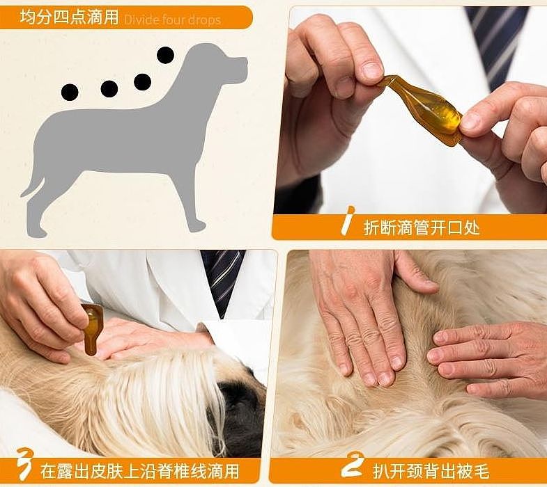 日本铲屎官示范如何轻松洗狗，网友：我还是洗只假狗吧！ - 17