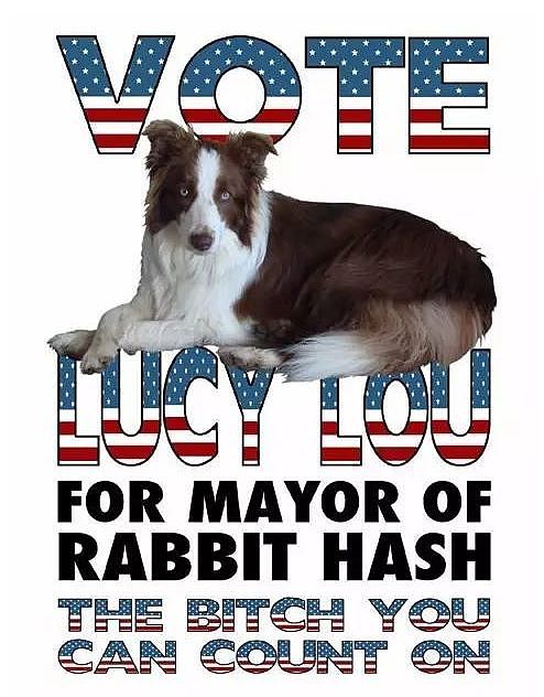 当上市长的金毛：做狗嘛，最重要的就是快乐，获得全州市民一致赞成 - 3