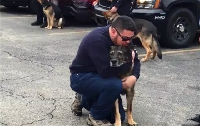 10年警犬生涯，最后离去时训导员抱着它痛哭… - 8