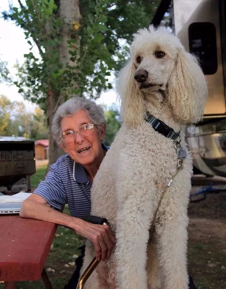 90岁奶奶患癌放弃治疗，选择带狗旅行度余生 - 2