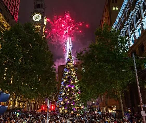 你家的圣诞树亮起来了吗？看看澳洲哪里可以买到你最中意的圣诞树！ - 5