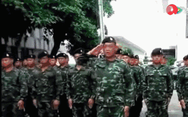 泰国士兵敬军礼像尿尿抖一抖，各国军礼还属中国最好看｜军情晚报 - 8