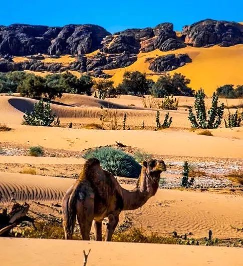 摩洛哥旁有个“小欧洲”，海景媲美希腊，沙漠震撼全球！但美得让人为难… - 58