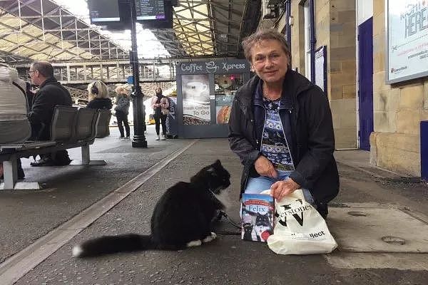 帮忙募捐了十万英镑！火车站这只猫员工好厉害，还能帮卖票！ - 4