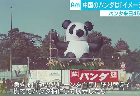 在日本，熊猫是一种信仰 - 16