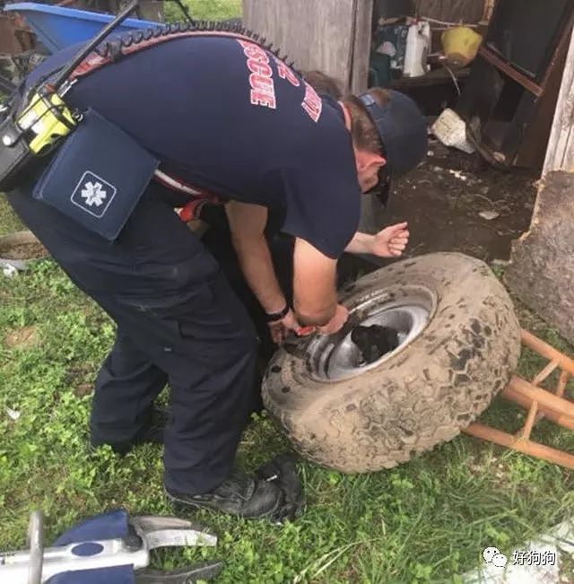 小奶狗被卡轮胎，最后消防员机智的把它救了出来！ - 2