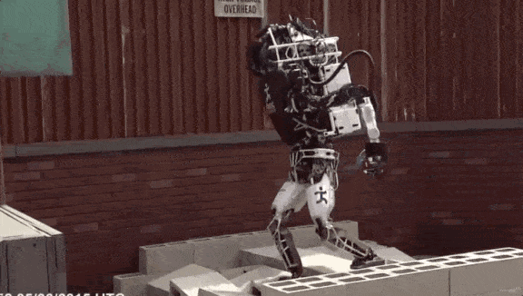 任推不倒！杜克大学这个机器人“小强”自己会扶墙 - 3