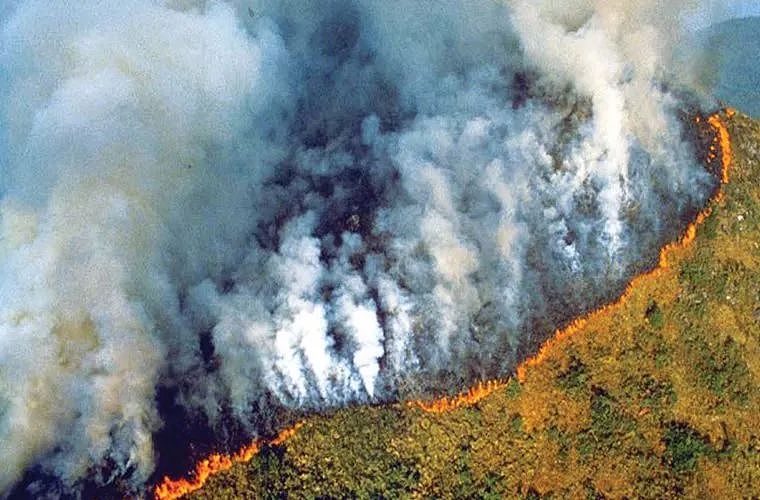 亚马逊雨林大火3周，烧掉4个丹麦，而 “凶手”还将继续肆虐… - 4