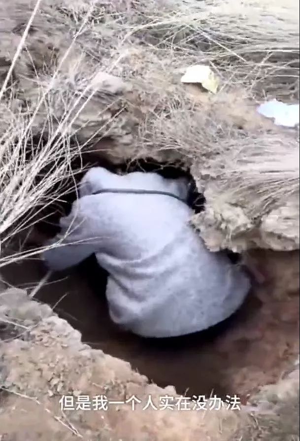 小奶狗掉进山洞被困四天，志愿者：“它靠吃泥活到现在...” - 1