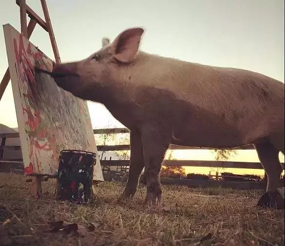 一头待宰的猪画了幅画，竟卖了23万元，被称为猪界毕加索，还全世界办展览！ - 26