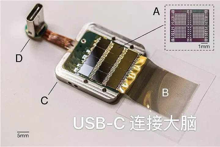 马斯克的脑机接口来了，USB 连大脑，用 iPhone 操控 | 近未来 ⑫ - 5
