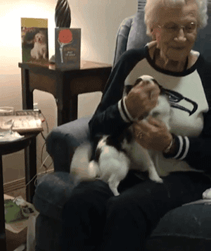 90多岁老奶奶不愿搬去儿子家，竟是因为领居家的狗太可爱了？！ - 12