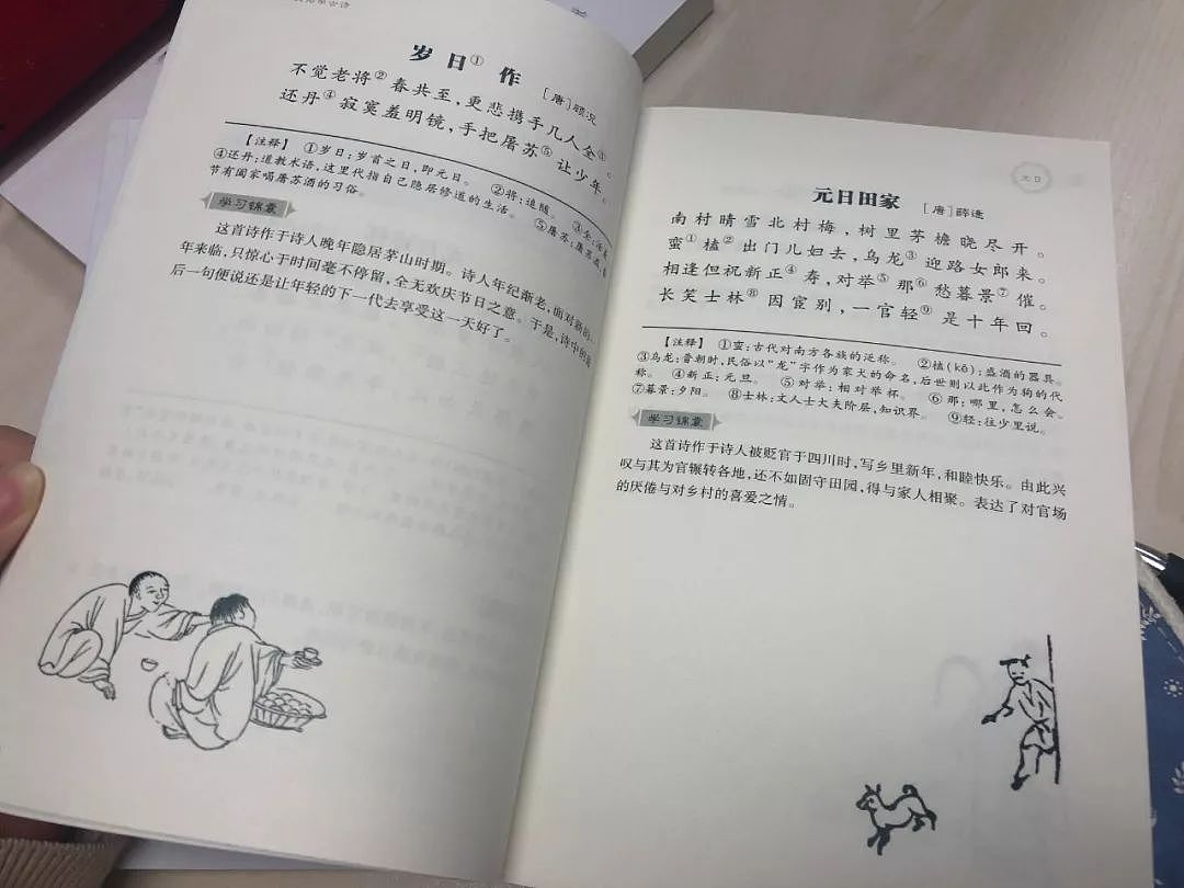 《中国诗词大会》总冠军诞生：腹有诗书的人，运气都不会太差 - 12