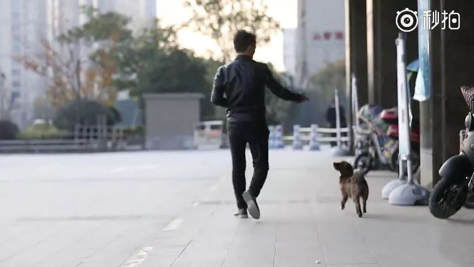 带着狗狗上门送快递，最近这位杭州的快递小哥有点火 - 8