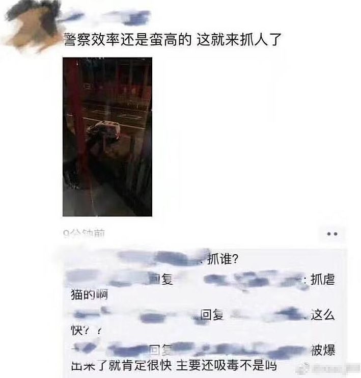 曝光！中国留学生疑XD虐猫致死，学校发声、警方介入...当事人：回了国我就安全了！ - 26