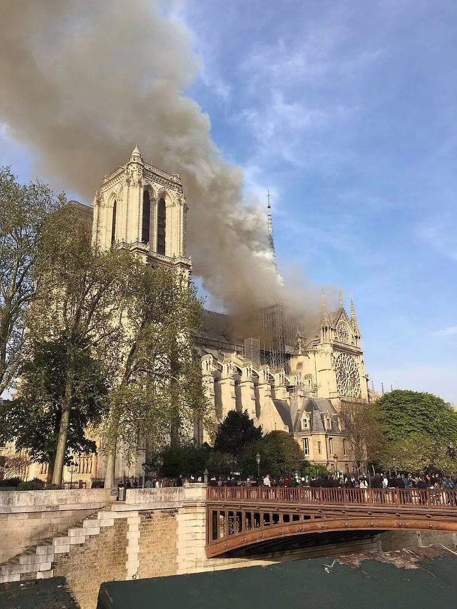 全世界为之悲伤！巴黎圣母院大火，800年古迹被焚毁，救援最新进展已出... - 19
