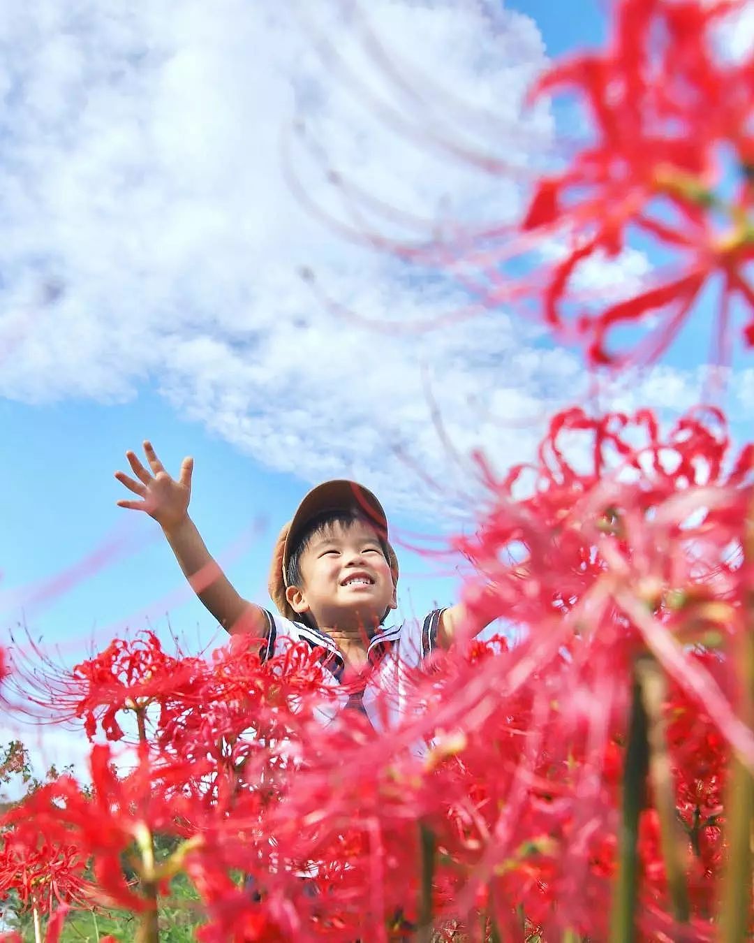 日本妈妈偷拍樱花树下的儿子，美成宫崎骏童话，治愈无数人 - 40