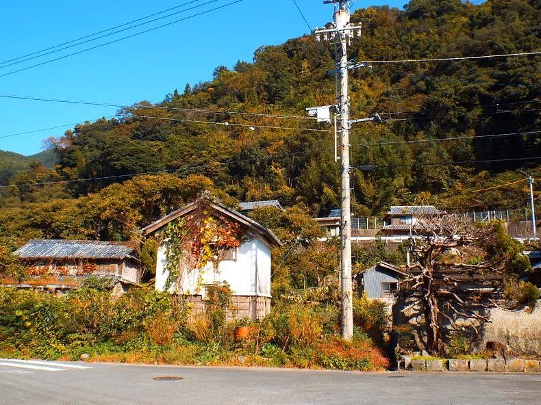 日本最变态小镇，一群65岁的老人只做了一件事，个个年入千万 - 34