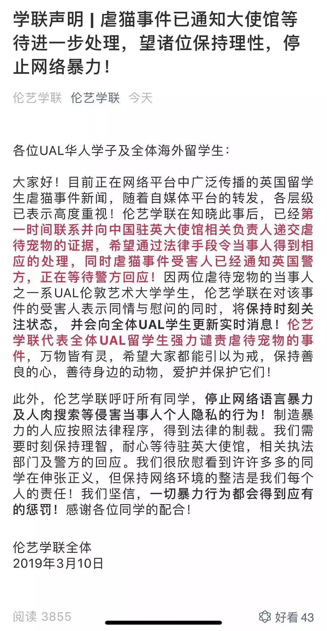 曝光！中国留学生疑XD虐猫致死，学校发声、警方介入...当事人：回了国我就安全了！ - 24