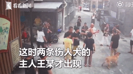 警方跨省抓狗？是的，这件事在上海发生了! - 6