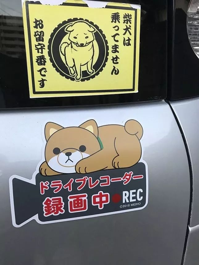 在车上贴“家里有狗”的标识，这背后的深意让人心头一暖… - 2