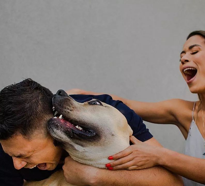 情侣带着家里的狗拍婚纱照，但拍出来的效果…… - 6