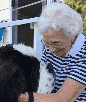90多岁老奶奶不愿搬去儿子家，竟是因为领居家的狗太可爱了？！ - 15