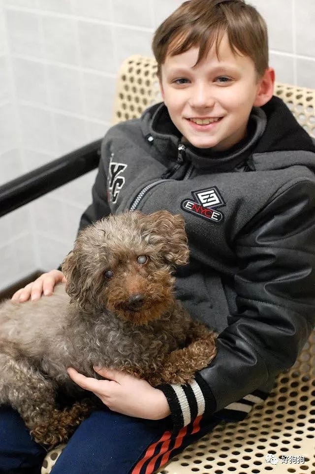 14岁的年老狗狗被抛弃，最终被一名小男孩儿收养了！ - 1