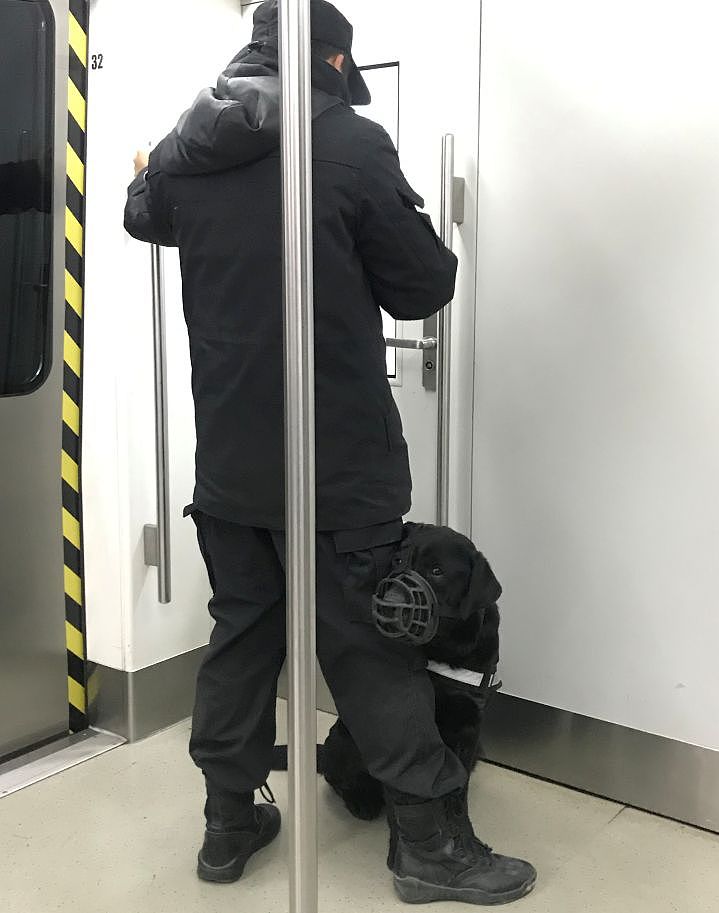 网友在北京地铁偶遇小警犬，还没睡醒的它要开始新一天的工作啦！ - 2