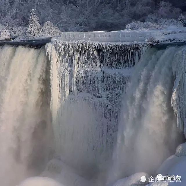 世界最大跨国瀑布冻住了 绝美奇观如仙境！ - 13