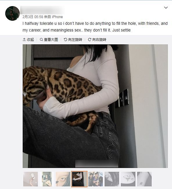 曝光！中国留学生疑XD虐猫致死，学校发声、警方介入...当事人：回了国我就安全了！ - 6