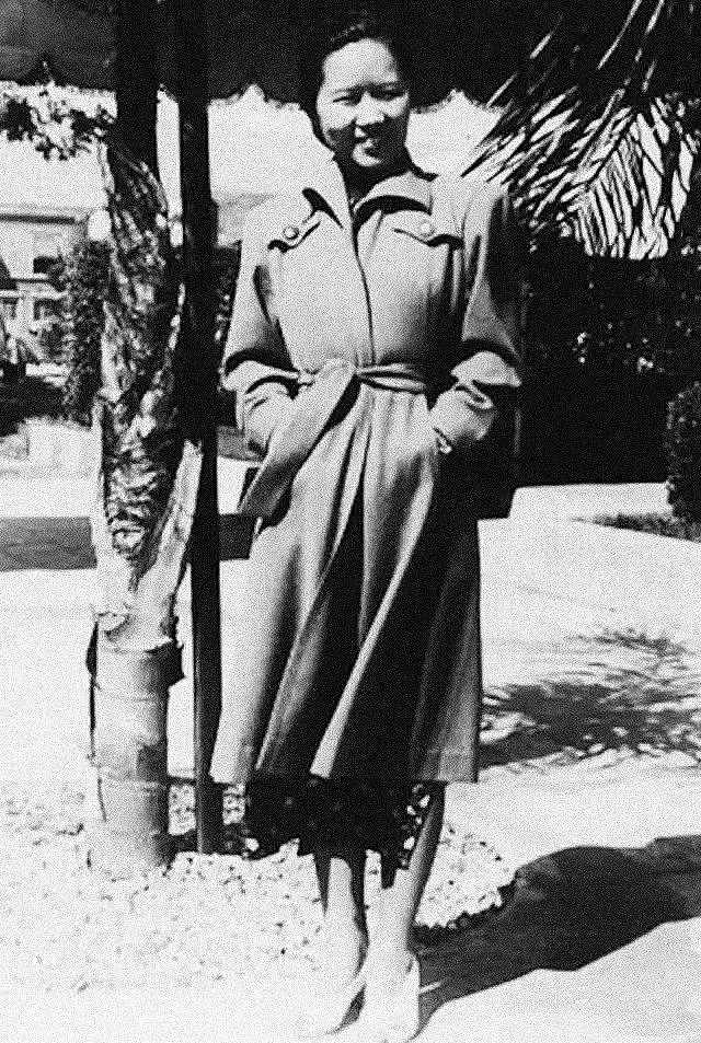 比林徽因优雅，和胡适传绯闻，这个穿旗袍造原子弹的女人，全世界欠她一个诺贝尔奖 - 16