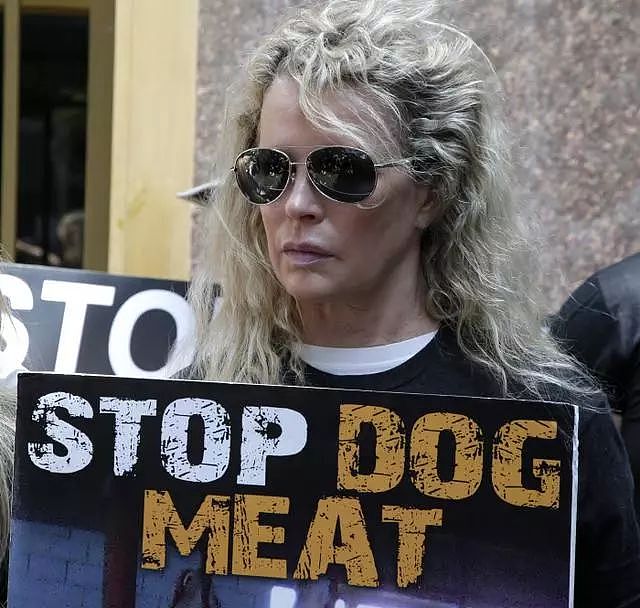 韩国最大狗肉市场要关闭了，超过80只狗狗从市场获救… - 7