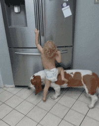 宝宝和狗子合伙开冰箱偷吃，结果惨遭背叛！ - 1