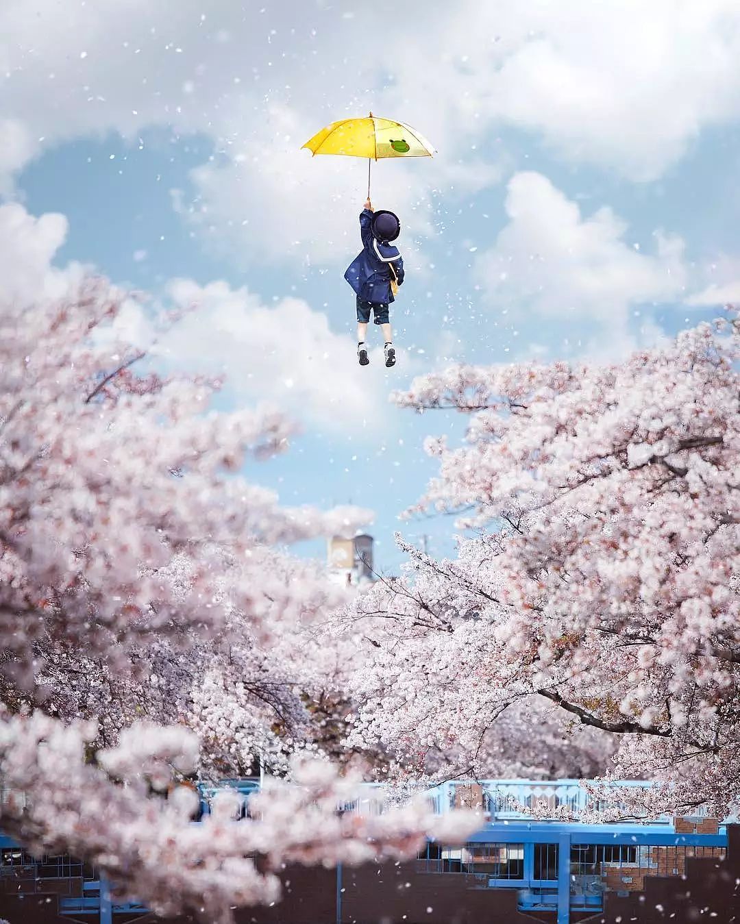 日本妈妈偷拍樱花树下的儿子，美成宫崎骏童话，治愈无数人 - 45