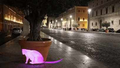 近日罗马街头惊现巨型光雕艺术猫咪，才发现猫咪还可以这么玩！ - 17