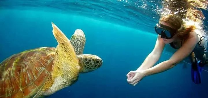 泰国唯一叫板马代的潜水圣地，一年只开放150天！ - 13