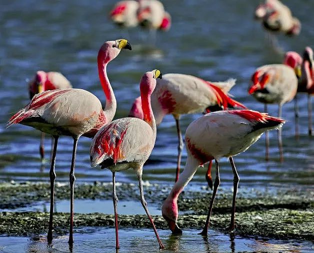 肯尼亚+坦桑尼亚，春节远走东非开启Safari之旅！ - 28