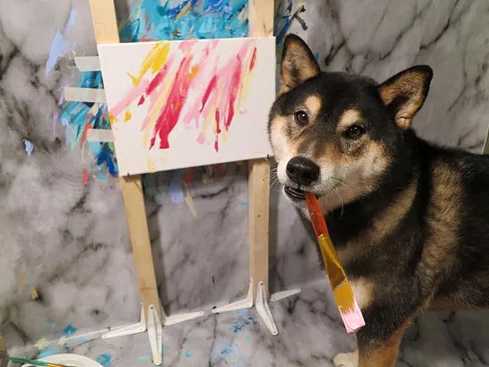 不相信吧？连狗狗都可以做艺术家啦 - 11