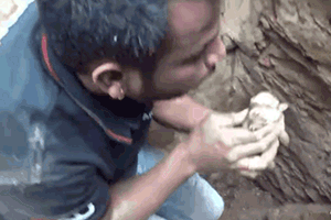 印度水灾后，人们在废墟中发现一只疯狂刨土的狗…… - 13