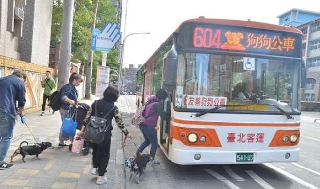台湾狗狗公车运行两年颇受好评，真希望内地也有这样的福利！ - 1